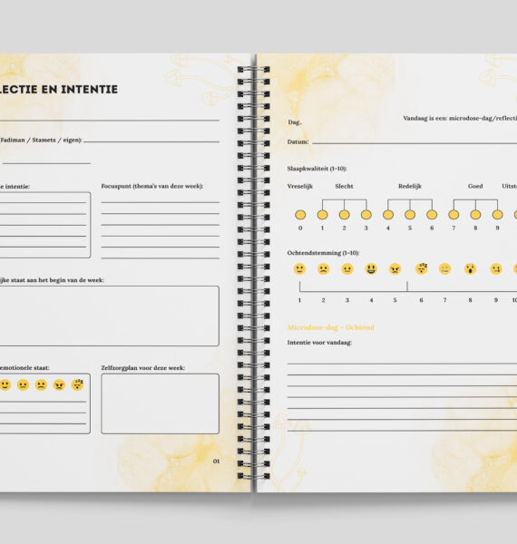 Microdosing dagboek