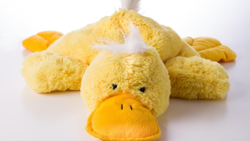 Pluche eend